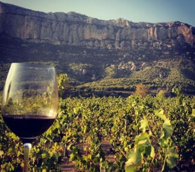  a glass of wine next to some natural vineyards